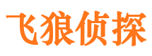 峨山市调查公司